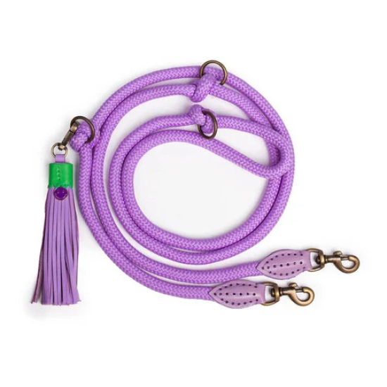 Dog with a Mission Purple Rain Hundeleine lila